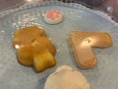 -三花喵·撸猫购宠·宠物生活馆(虹桥南丰城店)
