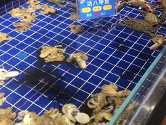 -宝轩渔府·老字号海鲜·正宗津菜(水上店)