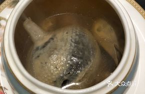 Pigeon Wrapped in Shark's Fin