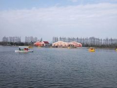 -上海长兴岛郊野公园