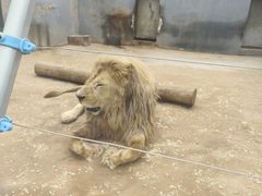 -银川动物园