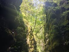 -梭布垭石林景区