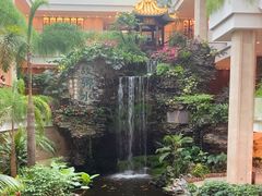 -广州白天鹅宾馆