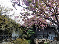 -惠山古镇·寄畅园