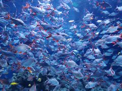 -成都浩海立方海洋公园