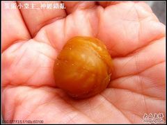 -新长发栗子食品有限公司(威海路店)