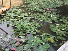 -广州市干部健康管理中心