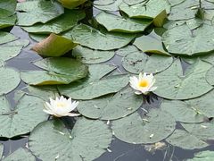 -长春市南湖公园