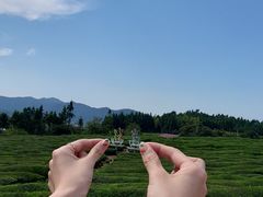 -景德镇陶阳里历史文化旅游区