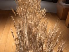 -西村日本料理(香格里拉饭店)