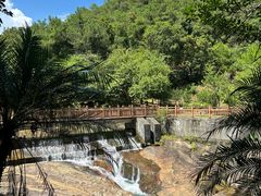 -广州白江湖森林公园