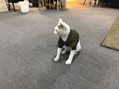 -青沐画室·专业美术培训