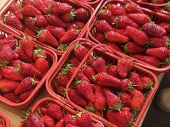 -上海龙吴水胜海发市场