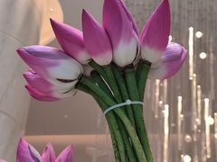 -茶源Fountain Lounge大堂吧·北京东方君悦大酒店