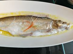 苏帮太湖白鱼-苏帮袁Sue Cuisine(将台店)