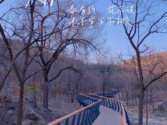 -白水寺森林公园