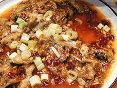 -巴特餐饮6加1音乐餐吧·新疆菜