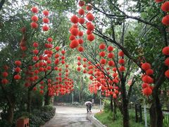 -人民公园(罗湖区)