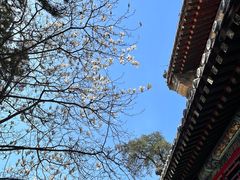 -潭柘寺景区
