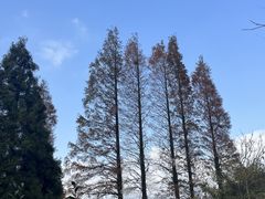 -山王坪喀斯特国家生态公园