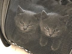 -惠康宠物医院(华能路店)