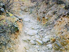 -香山公园
