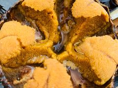 -海胆小馆(东北水饺·春柳店)