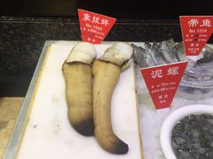-宝燕壹号(徐汇店)