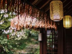 -中国茶叶博物馆(双峰馆区)