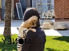 -Money Shops(愚园路店)