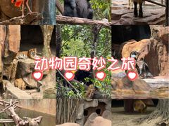 -长鹿旅游休博园