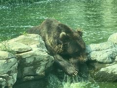 -北京野生动物园