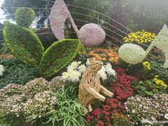-杭州植物园