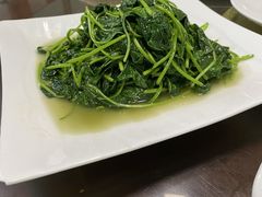 地瓜叶-祝家饺子馆