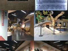 -三五九旅屯垦纪念馆