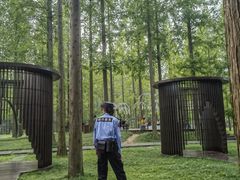 -黄海国家森林公园