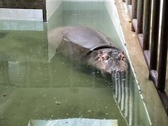 -哈尔滨北方森林动物园