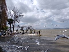 -捞渔河湿地公园