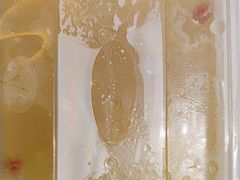 -金柱大盘鸡(南门店)