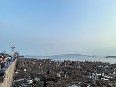 -栈桥景区