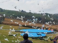 -瓷天下海丝谷