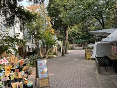 -八大关景区
