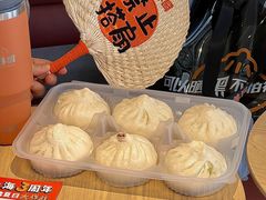 -和善园手工大包子(常德路店)