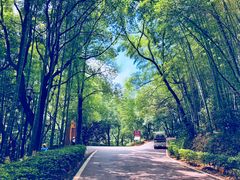 -石燕湖生态旅游景区