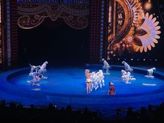 -珠海横琴长隆《卡卡虎奇遇记》