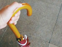 -茶颜悦色(岳麓山顶店)