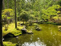 -西芳寺(苔寺)