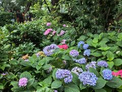 -花锦堂·隐庐