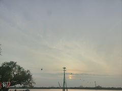 -吉野家(567漫天地店)