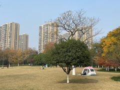 -杭州城北体育公园